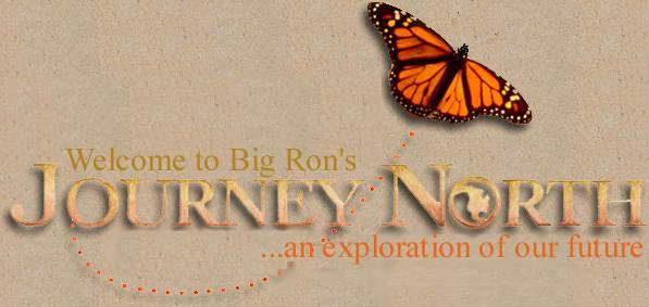 An exploration into the class of 98